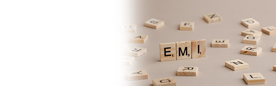 What is Equated Monthly Installment Payment? What is Equated Monthly Installment Payment?